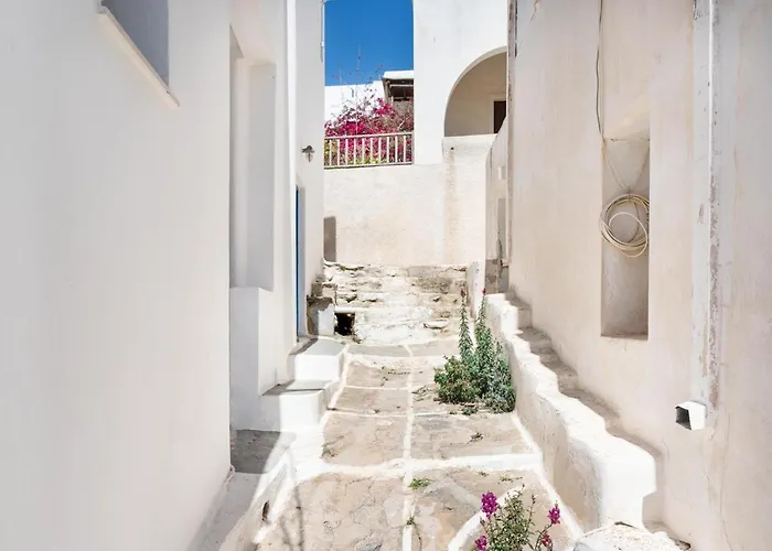 Appartement Olga's House